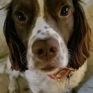 Meet your Posher, Tracy